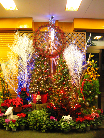 毎年恒例のクリスマスツリー(夜の部)
