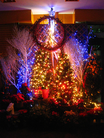 毎年恒例のクリスマスツリー(夜の部)